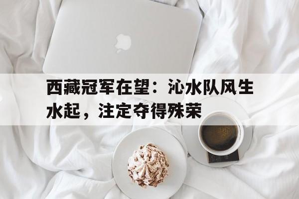 西藏冠军在望：沁水队风生水起，注定夺得殊荣