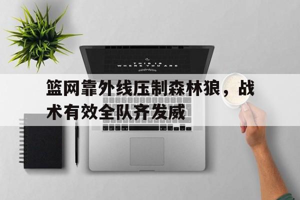 篮网靠外线压制森林狼，战术有效全队齐发威